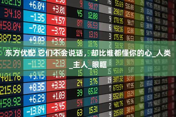 东方优配 它们不会说话，却比谁都懂你的心_人类_主人_眼眶